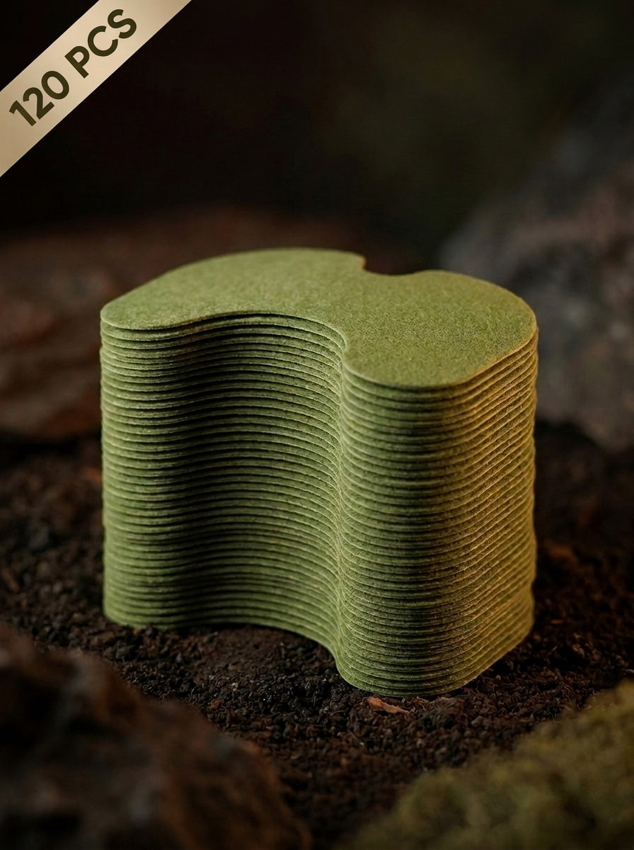 The Melt Patch in Bulk